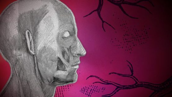 最前線リポート:知られざる献体の世界